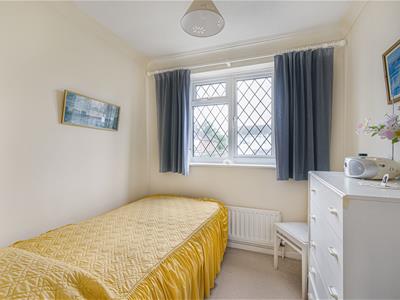 Picture 15